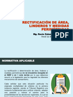 Rectificación de Área - 2