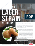 LAL Bestpractices Lallemand - Lager - Strain - Selection Bifold Digital 2