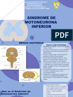 2-.Sindrome de Motoneurona Inferior