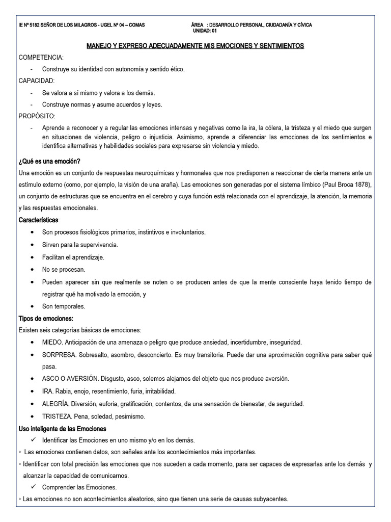 Manejo de Emociones y Sentimientos | PDF | Las emociones | Ira