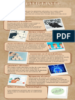 Infografia de Funciones Del Cortisol.