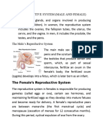 The Reproductive System