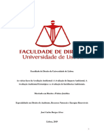 As Várias Faces Da Avaliação Ambiental A Avaliação de Impacte Ambiental