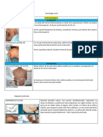 Semiología Renal