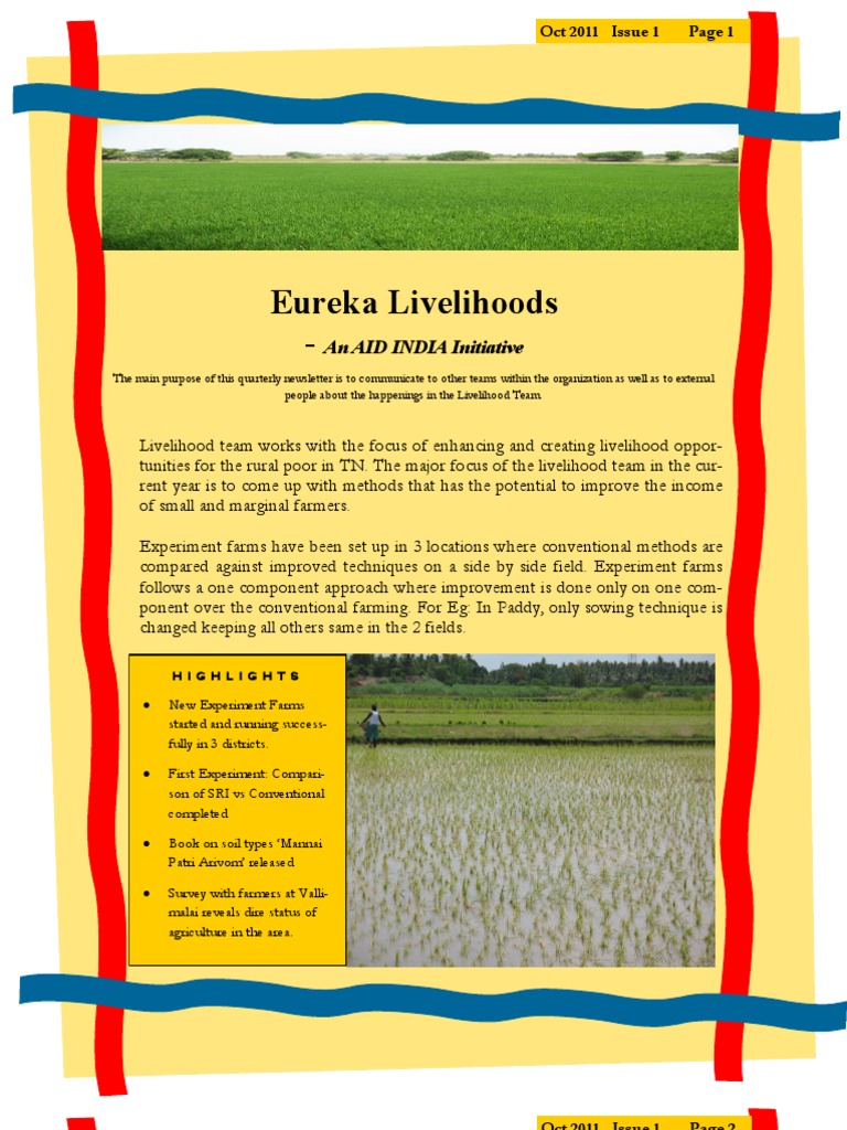 Eureka Livelihoods Update - Oct 2011 | PDF | Rice | Sowing