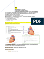 Camila Rocha FSP