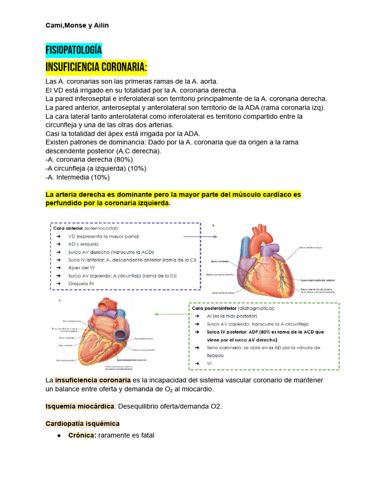 Camila Rocha FSP | PDF | Infarto de miocardio | Electrocardiografia