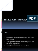 Energy and Productivity