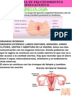 Anestesia en Ginecologia