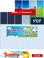 What Is Weather