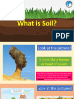 What Is Soil