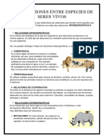 Ficha Informativa #6 - Relaciones Entre Las Especies