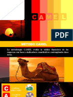 Evaluación Financiera - Método Camel