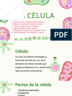 Presentación Proyecto de Biología Ciencia Ilustrativo Verde Rosa - 20240324 - 182823 - 0000