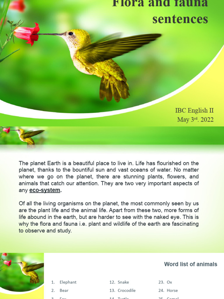 Flora and Fauna Sentences PDF Wildlife Flowers