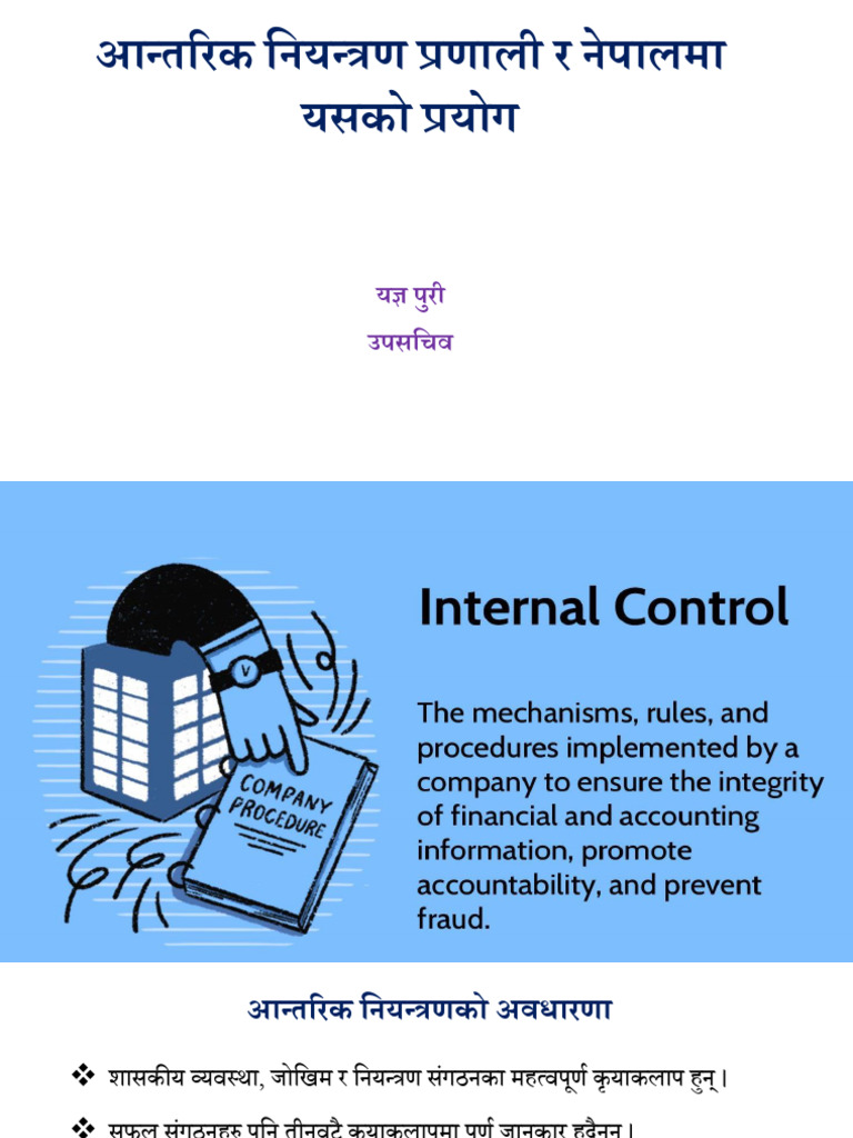 Internal Control At Local Level Pdf