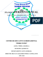 Plan Operativo Anual: Centro Educativo "PEDRO NUFIO" (161700015B10)