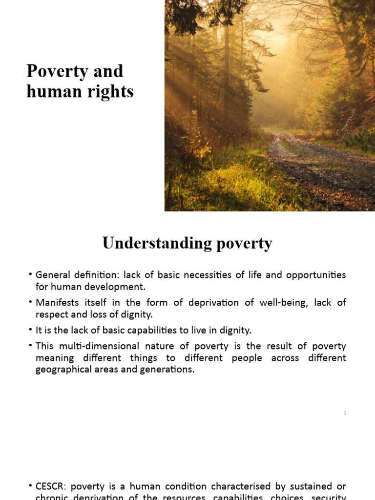 Understanding Poverty and Human Rights | PDF | Poverty & Homelessness ...