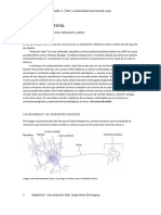 DOPAMINA - ATRACCIÓN FATAL 2023 Psicología UNCUYO 