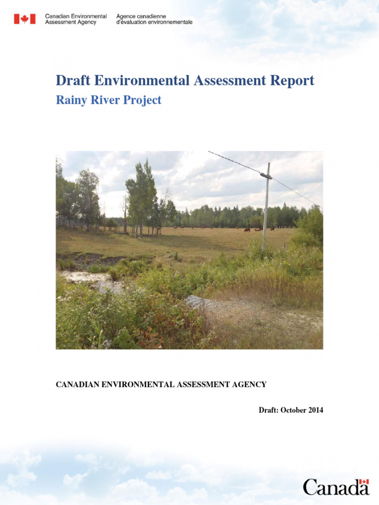 Draft EA Report for Rainy River Project | PDF | Environmental Impact ...