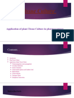 Application of Plant Tissue Culture in Pharmacognosy