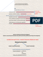 4.curs FP-Stres 2 RSP