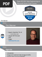 Warner DP 203 Slides