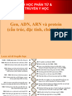 1.2 Gen, ADN, ARN&Protein