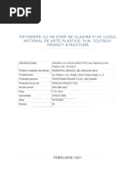 A4 (DTOE 1) Plan de Organizare A Execuției | PDF