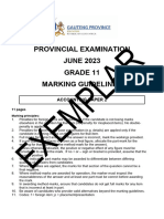 Grade 11 ACC P2 (English) June 2023 Possible Answers