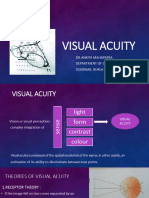 Visualacuity Presentation 