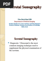 Scrotal Sonography Us אשכים