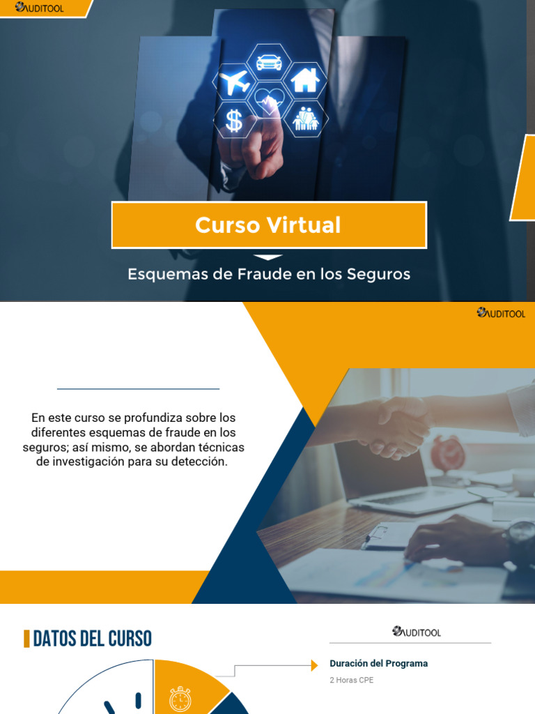 Plan de Estudios Curso Virtual Esquemas de Fraude en Los Seguros | PDF ...