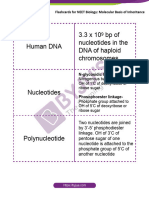 Flashcards For Neet Biology 12 Molecular Basis of Inheritance