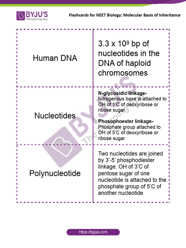 Flashcards For Neet Biology 12 Molecular Basis Of Inheritance Pdf