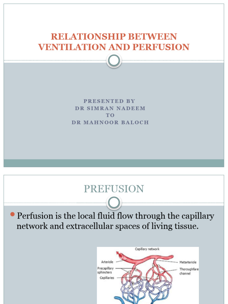 Ventilation and Perfusion Explained | PDF