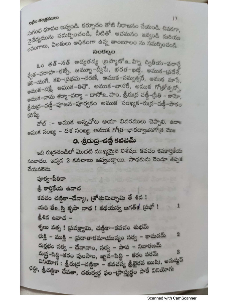 Rudra Chandi | PDF