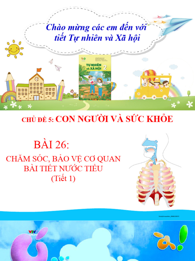 Bai 26 cham soc bao ve co quan bai tiet nuoc tieu pdf