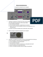 Prova de Microbiologia Ii