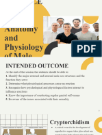 Module 3 Sexual Anatomy and Physiology of Male