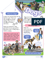 T L 5597 ks1 All About Dogs Differentiated Reading Comprehension