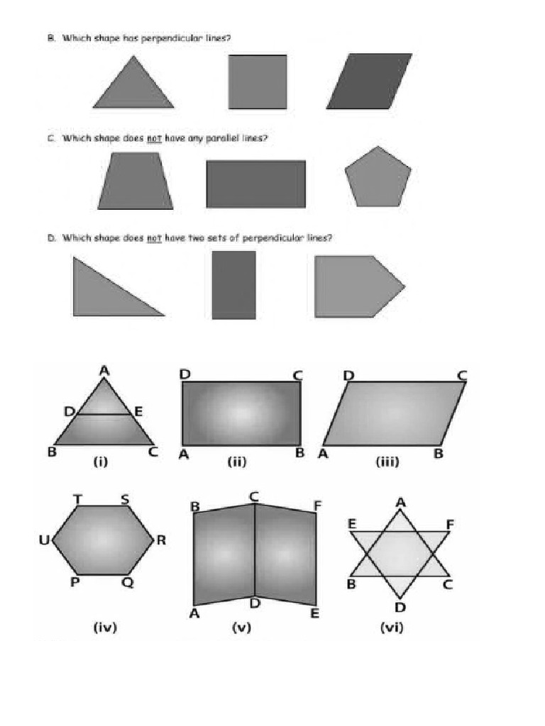 Practice Math Grade 3 Lines | PDF