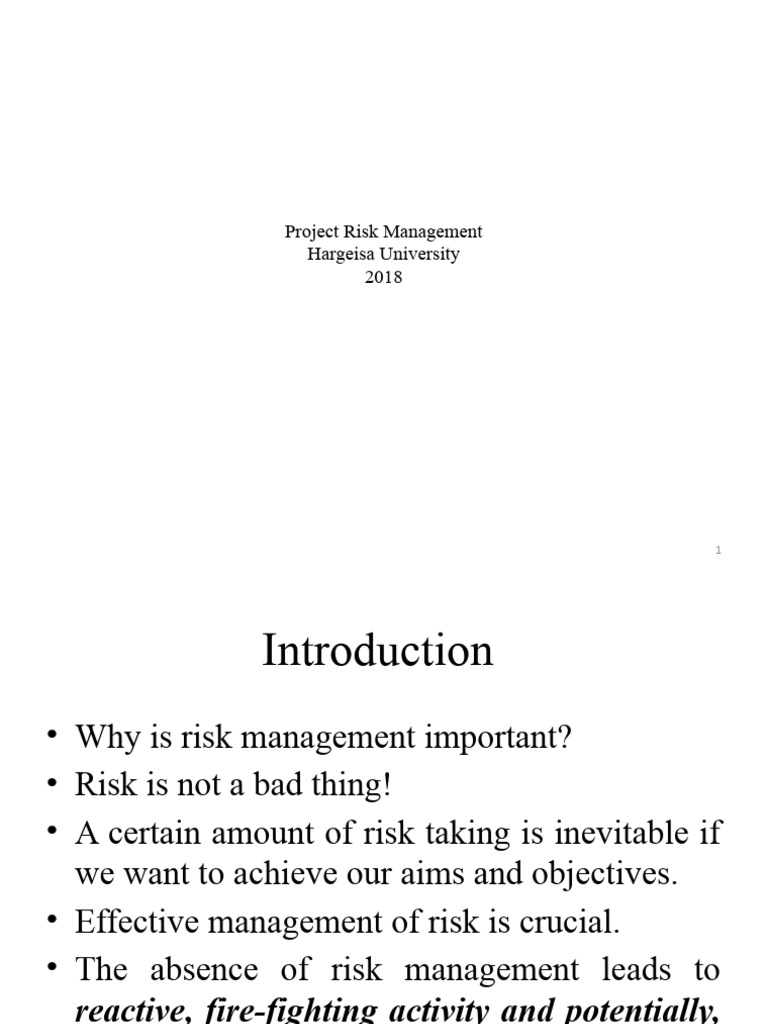 Effective Project Risk Management Guide | PDF | Risk | Risk Management