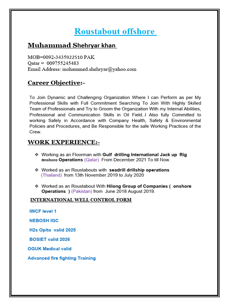 Offshore Roustabout Resume Summary | PDF