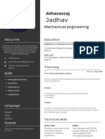 Professional CV Resume