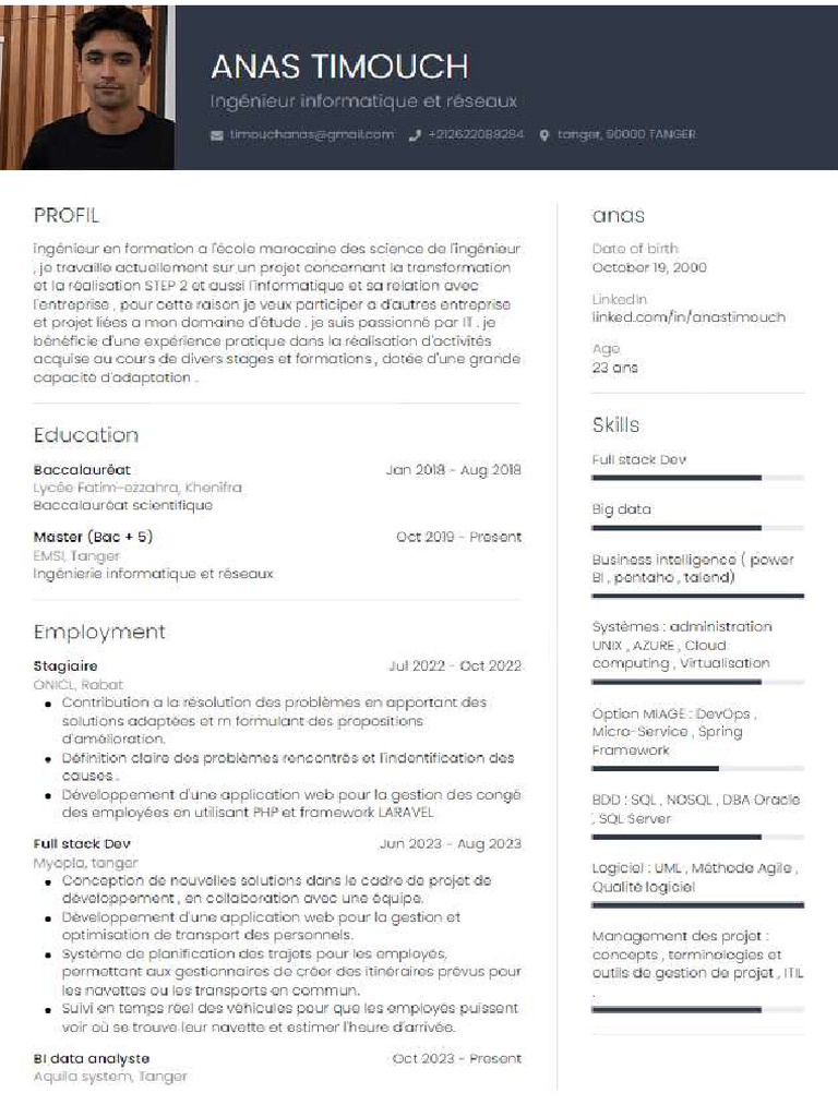 CV Ibm 1 | PDF