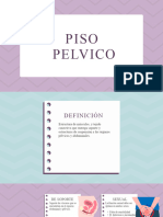 Piso Pelvico