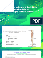 Anatomia Aplicada À Radiologia Membro Inferior MMII (Pé, Perna e Patela)