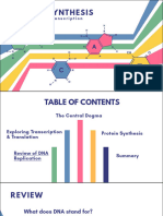 Protein-Synthesis