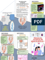 Triptico Feria - 020447